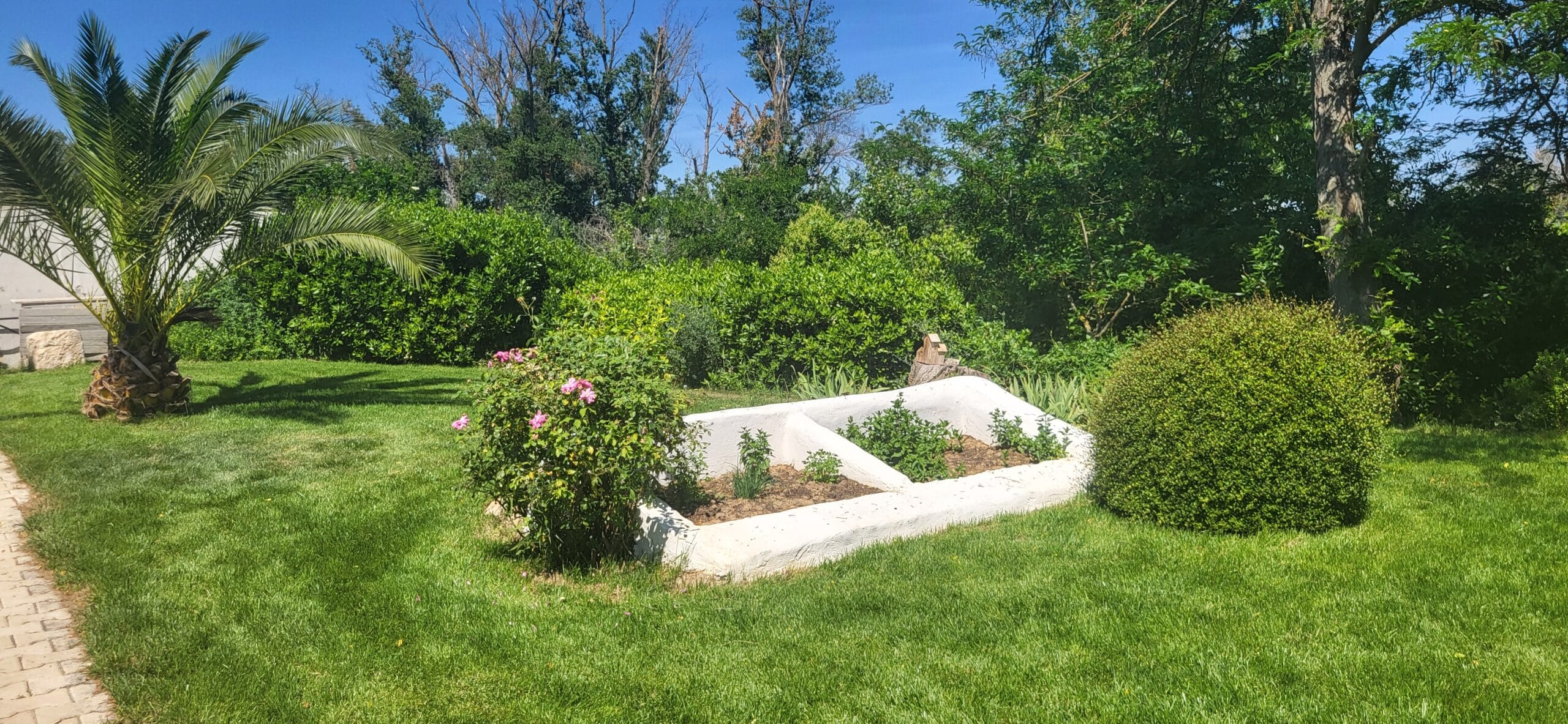 Jardin verdoyant avec palmier, jardinière blanche originale et massif de fleurs roses sur une pelouse ensoleillée.