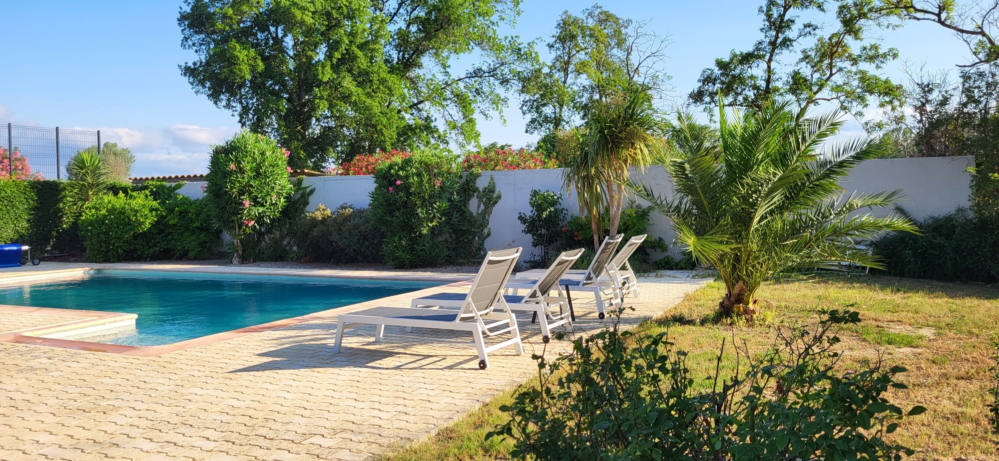 Piscine turquoise, quatre transats sur la terrasse pavée, bordée par des palmiers et une végétation luxuriante sous un ciel d'été bleu.