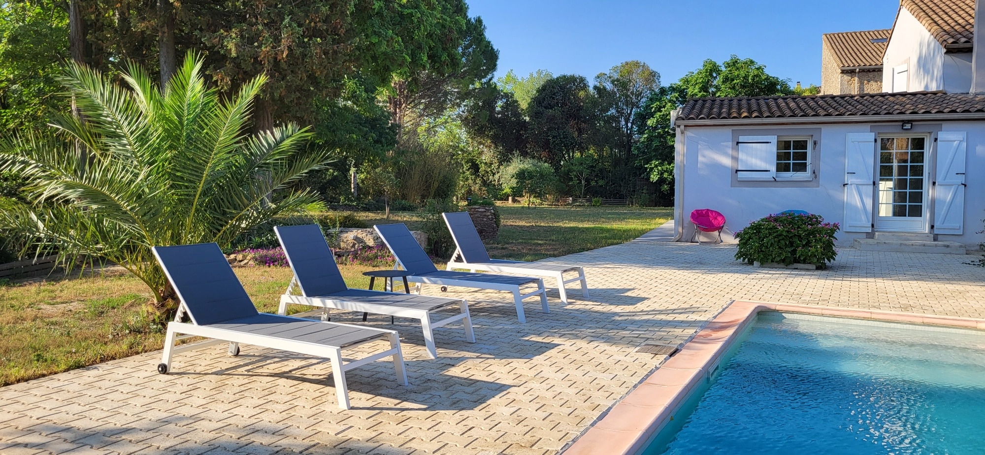 Espace détente ensoleillé au bord d'une piscine : quatre transats, un pool house bleu et un grand palmier dans un jardin verdoyant.