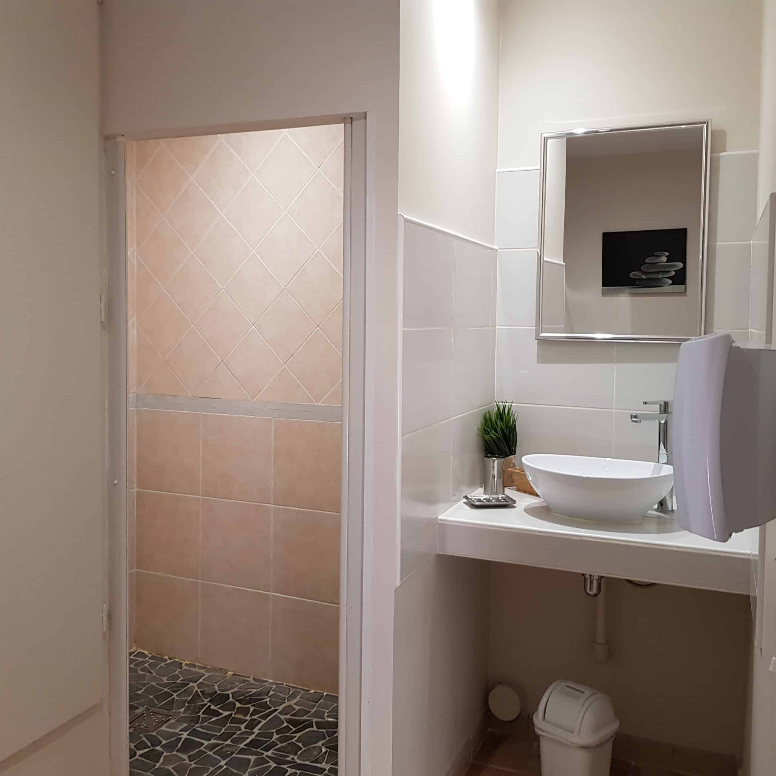 Vasque ovale moderne sur comptoir blanc avec miroir et plantes. À gauche, l'ouverture d'une douche avec carrelage pêche et sol en galets.