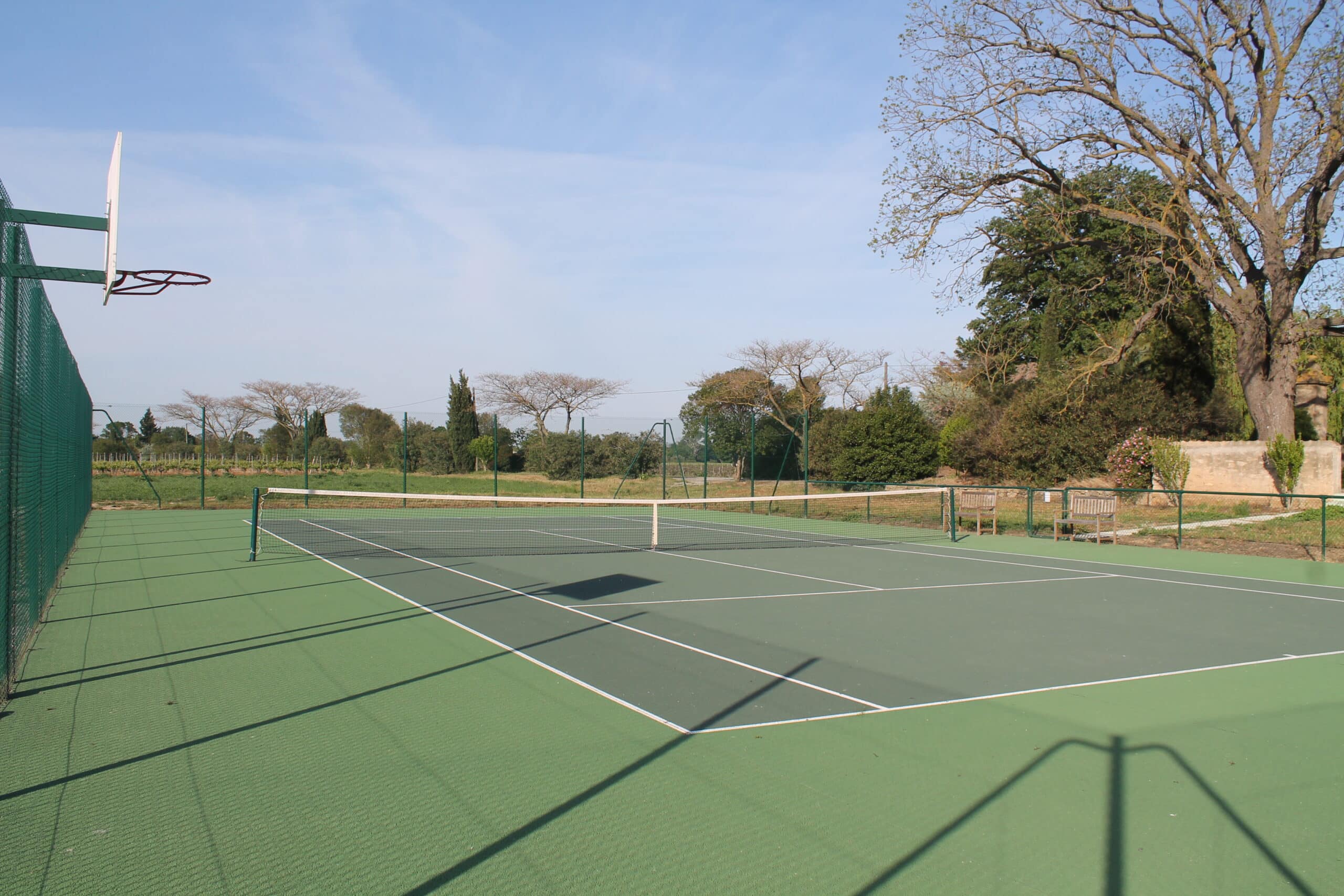 Court de tennis vert avec panier de basket et filet sous un ciel bleu, entouré de nature.
